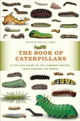 cover of The Book of Caterpillars: A Life-Size Guide to Six Hundred Species from around the World