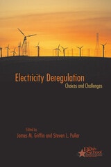 cover of Electricity Deregulation: Choices and Challenges