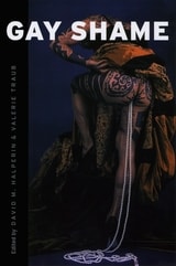 cover of Gay Shame