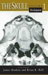 cover of The Skull, Volume 1: Development