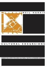 cover of Cultural Excursions: Marketing Appetites and Cultural Tastes in Modern America