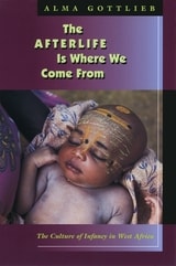 cover of The Afterlife Is Where We Come From