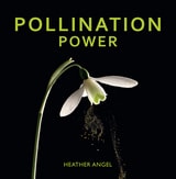 cover of Pollination Power
