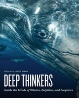 cover of Deep Thinkers: Inside the Minds of Whales, Dolphins, and Porpoises