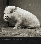 cover of Allowed to Grow Old: Portraits of Elderly Animals from Farm Sanctuaries