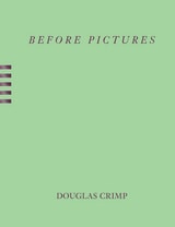 cover of Before Pictures