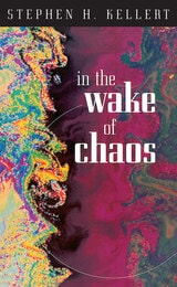cover of In the Wake of Chaos: Unpredictable Order in Dynamical Systems