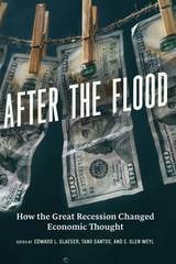 cover of After the Flood: How the Great Recession Changed Economic Thought