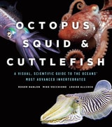 cover of Octopus, Squid, and Cuttlefish: A Visual, Scientific Guide to the Oceans’ Most Advanced Invertebrates