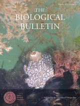 cover of BBL vol 232 num 1