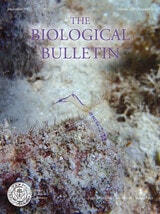 cover of BBL vol 233 num 3