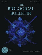 cover of BBL vol 234 num 1