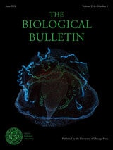 cover of BBL vol 234 num 3
