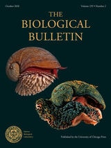 cover of BBL vol 235 num 2