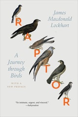 cover of Raptor: A Journey through Birds