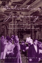 cover of Seductive Journey: American Tourists in France from Jefferson to the Jazz Age