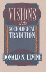 cover of Visions of the Sociological Tradition