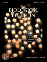 cover of BBL vol 237 num 2