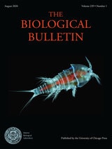 cover of BBL vol 239 num 1