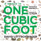 cover of A World in One Cubic Foot: Portraits of Biodiversity