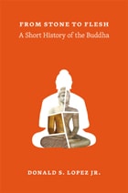 cover of From Stone to Flesh: A Short History of the Buddha