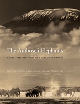 cover of The Amboseli Elephants: A Long-Term Perspective on a Long-Lived Mammal