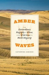cover of Amber Waves: The Extraordinary Biography of Wheat, from Wild Grass to World Megacrop