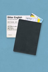 cover of Bitter English