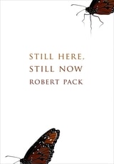 cover of Still Here, Still Now