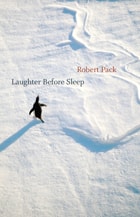 cover of Laughter Before Sleep