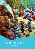 cover of Chameleon Hours
