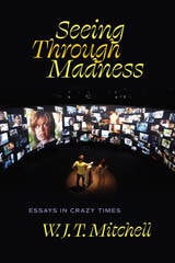cover of Seeing Through Madness: Essays in Crazy Times