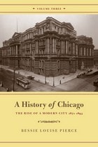 cover of A History of Chicago, Volume III: The Rise of a Modern City, 1871-1893