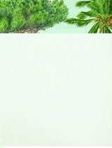 cover of Remarkable Trees