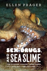 cover of Sex, Drugs, and Sea Slime: The Oceans' Oddest Creatures and Why They Matter