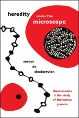 cover of Heredity under the Microscope: Chromosomes and the Study of the Human Genome