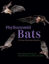 cover of Phyllostomid Bats: A Unique Mammalian Radiation