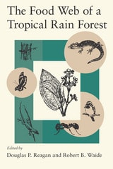 cover of The Food Web of a Tropical Rain Forest