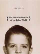 cover of The Executive Director of the Fallen World