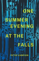 cover of One Summer Evening at the Falls