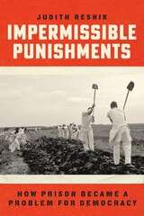 cover of Impermissible Punishments: How Prison Became a Problem for Democracy