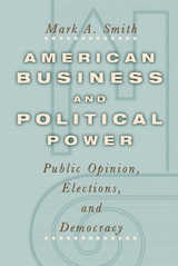 cover of American Business and Political Power: Public Opinion, Elections, and Democracy