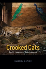 cover of Crooked Cats: Beastly Encounters in the Anthropocene
