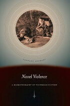 cover of Novel Violence: A Narratography of Victorian Fiction
