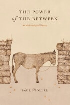 cover of The Power of the Between: An Anthropological Odyssey