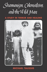 cover of Shamanism, Colonialism, and the Wild Man: A Study in Terror and Healing