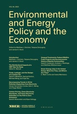 cover of Environmental and Energy Policy and the Economy: Volume 4