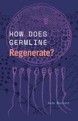 cover of How Does Germline Regenerate?