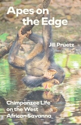 cover of Apes on the Edge: Chimpanzee Life on the West African Savanna