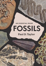 cover of Fossils: An Essential Guide